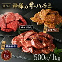 【2点以上購入で特典】ギフト 焼肉 送料無料 神様の選べる牛ハラミ はらみ 肉厚 タレ