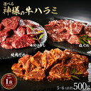 【5/1(水)24h限定★エントリーで最大P20倍】牛肉 肉 焼肉 鬼スパイシーひとくちガーリックステーキ 2kg(250g×8) 赤身 贅沢 おトク お徳用 送料無料 あす楽 肉 通販 グルメ アウトドア お家焼肉 レジャー 送料無料 バーベキュー 食材 セット バーベキューセット キャンプ