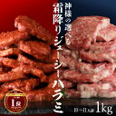 肉 ハラミ 味付け 焼肉 神様の 選べる 霜降り ジューシー ハラミ 1kg 焼肉 焼肉だれ 塩だれ はらみ 10～11人前 ブロック お試し 食品 食べ比べ 訳あり(わけあり/訳アリ)ではございません ギフト お祝い お祝い返し お取り寄せ たれ