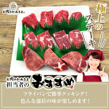 牛サイコロステーキ セット 約5〜6人前 約500g×2パック 計約1kg 国産 US産 豪州産 冷凍 担当者おすすめ 食品