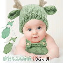 ニューボーンフォト 衣装 仮装セーター新生児 ベビー服 ドラゴン 着ぐるみ コスチューム 記念写真 出産お祝い可愛い 0-2ヶ月新生児写真撮影プロップ男の子 ド...