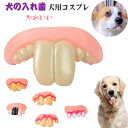 ハロウィン 犬用コスプレ 犬の入れ歯 面白いウサギの前歯 6type選べる 歯のおもちゃ犬用入れ歯 仮装変身グッズシリコン 入れ歯 出っ歯ハロウィン 歯 偽物 ...