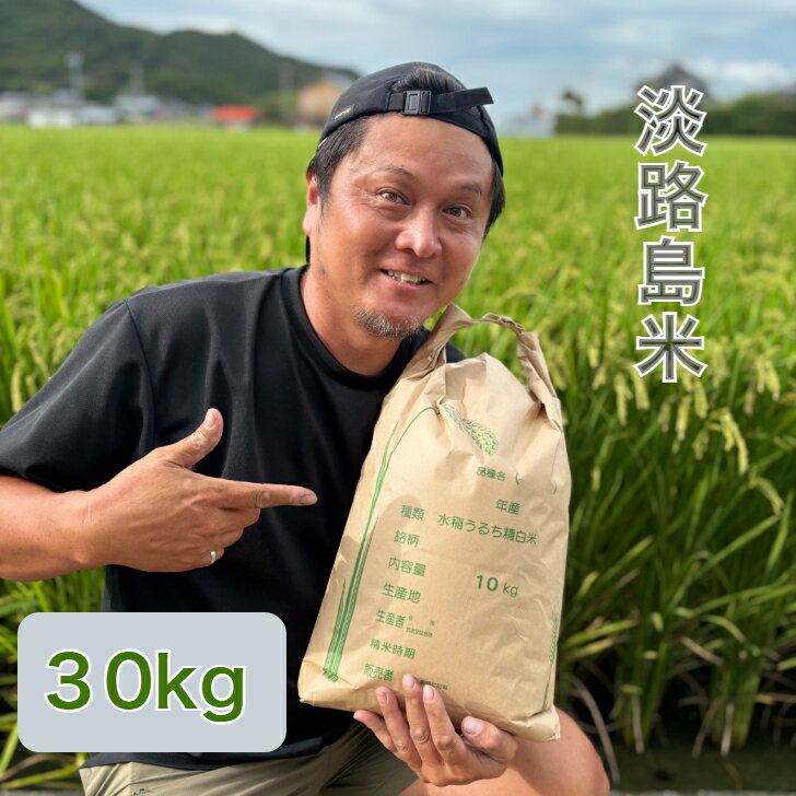 【送料無料】淡路島米【令和7年度産】 お米30キロ 淡路島 こしひかり コシヒカリ 精米済み オニオン魂 山本商店 送料無料