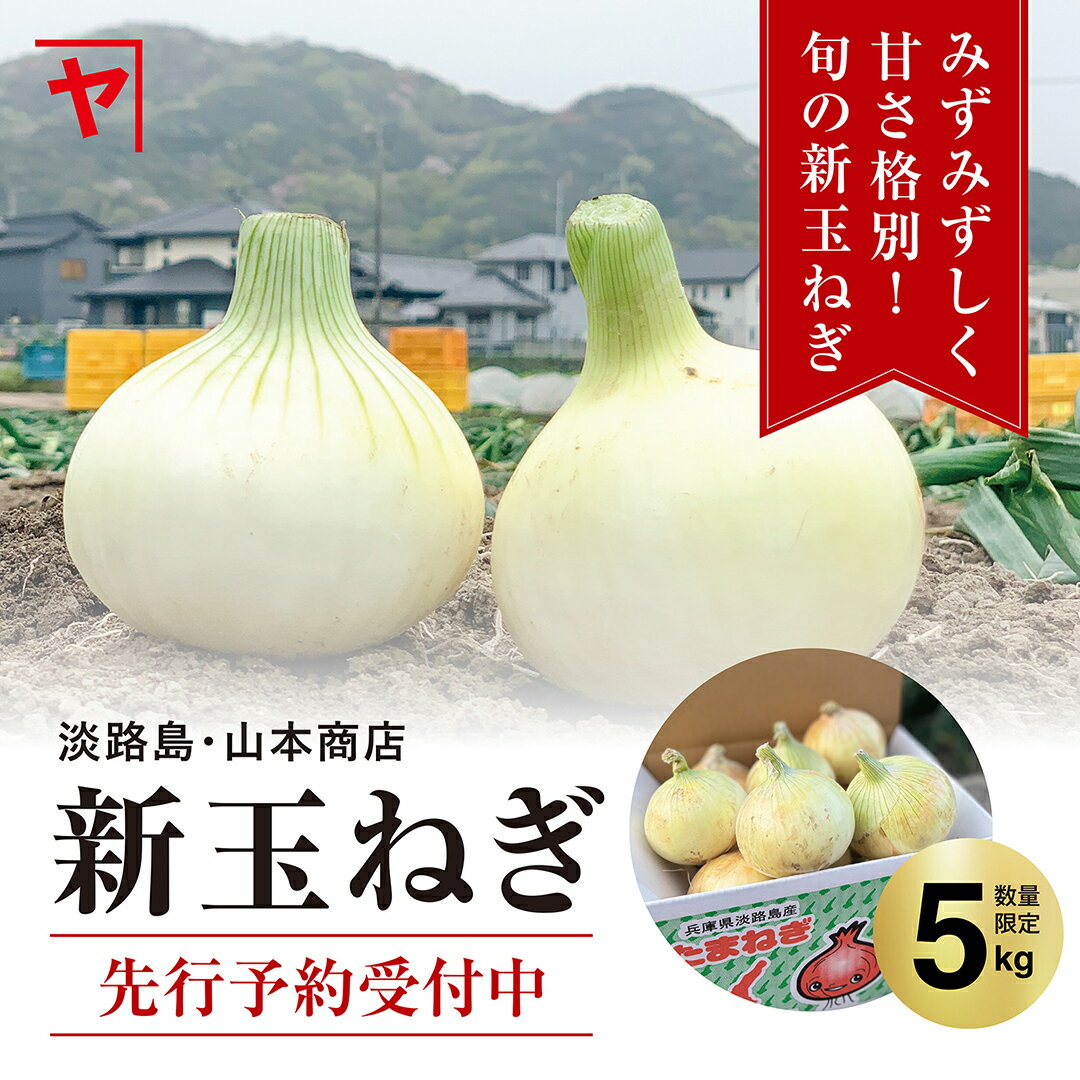 淡路島新玉ねぎ【3月上旬～6月上旬までの商品】5キロ サイズ・個数おまかせ 淡路島玉ねぎ 5キロ 玉ねぎ 新玉ねぎ 甘い 美味しい onion オニオン魂