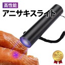 【安心の1年保証】 【楽天2冠達成】アニサキスライト 充電式 ブラックライト ペン アニサキス用ブラックライト アニサキス アニサキス検出 強力 USB 365nm 投光器 ハイパワー 充電 LED 人気 便利 多用途 生活 食事 釣り 対策 掃除 高品質