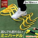 【楽天2冠獲得】【プロ指導者監修】ミニハードル ハードル 練習 トレーニング アジリティトレーニング 小学生 5本セット 10本セット ミニ サッカー フットサル 野球 バスケ フィジカル スピード 陸上 ドッグアジリティ 競技 筋力 柔らかい