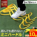 【ポイント10倍!】【プロ指導者監修】ミニハードル ハードル 練習 トレーニング アジリティトレーニング 小学生 5本セット 10本セット ミニ 15cm サッカー フットサル 野球 バスケ フィジカル スピード 陸上 ドッグアジリティ 競技 筋力 柔らかい ソフト