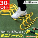 【30%OFFクーポン配布中!】【踏んでも割れない】ミニハードル ハードル 練習 トレーニング アジリティトレーニング 小学生 5本セット 10本セット ミニ ...