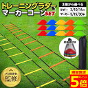 【ポイント5倍!】【プロ指導者監修】【楽天ランキング1位】 ラダー トレーニング トレーニングラダー 子供 サッカー 3m 5m 7m コーン セット フットサル バスケット 野球 陸上 テニス 小学生 練習 器具 マーカーコーン プレート スポーツ 敏捷性 軽量