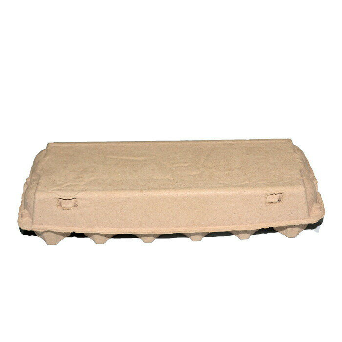 紙製たまごパック 玉子保存容器 卵トレー 冷蔵庫用収納 12個入り