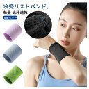 クール 冷感 ひんやり 夏用 手首 吸汗速乾 軽量 冷却バンド 運動 アイスバンド 熱中症対策 スポーツ サッカー ランニング テニス ジム フィットネス リストバンド バスケ アウトドア 男女兼用