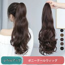ポイントウィッグ 部分ウィッグ レディース ロング バンスクリップ クリップ式 ポニーテール 巻き髪 つけ毛 女性 おしゃれ ヘアアレンジ