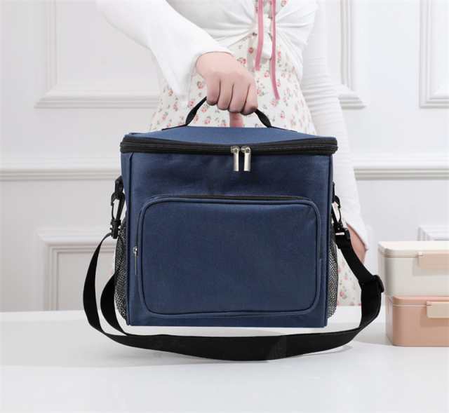 【楽天スーパーSALE！半額商品】 小型 折りたたみ クーラーボックス 10L 保冷バッグ 保温機能 アウトド..