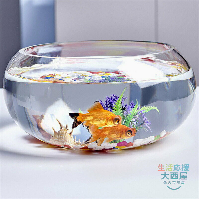 生活応援 大西屋の丸型金魚鉢 ガラス水槽 メダカ鉢 透明ボウル テーブルアクアリウム 観葉植物水培容器 大容量おしゃれインテリア｜アングル2