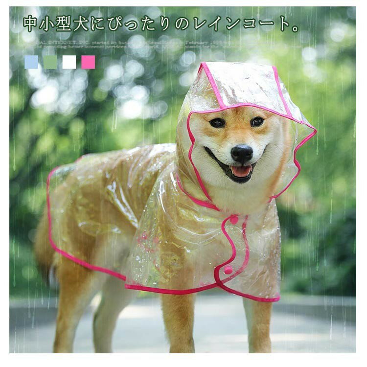 ���� �澮���� �쥤�󥦥��� ���ꥢ ���� �����ȥɥ� Ʃ���Ǻ� �ɿ� �ڥå�����