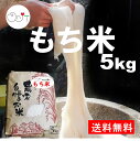 餅米 もち米 5kg 【送料無料】農家直送 減農薬米 三重県産 5キロ モチ米 かぐらもち 米 お米 白米 精米 もちごめ 令和2年産