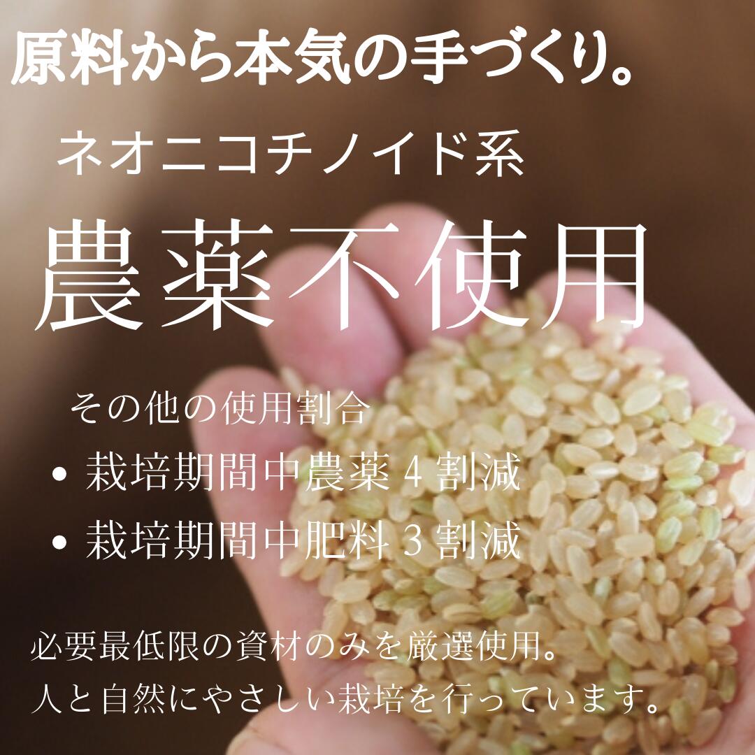 米粉 米の粉 上新粉 製菓用 湿式米粉 500g グルテンフリー 送料無料 三重県産 国産 国内産 湿式気流粉砕 農家直送 料理用 お菓子用 焼き菓子用 小麦 アレルギー しっとり もちもち 揚げ衣 もちとり粉 こめこ おんじ屋 微粒粉砕