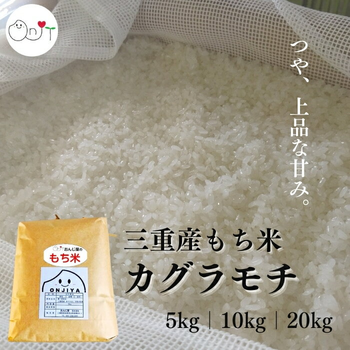 【ふるさと納税】もち米　福田農場のもち米（ヒメノモチ1kg×5袋）LR1013