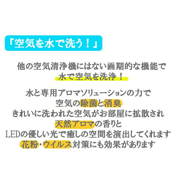 【処分特価】車載・卓上空気洗浄機 ティムバ timber 水 空気 洗浄 専用ソリューション付 インテリア 車 カー用品 おしゃれ 除菌 消臭 天然アロマの香り 選べる2色 木目調 LEDイルミネーション付き ADIR セルバ［あす楽］