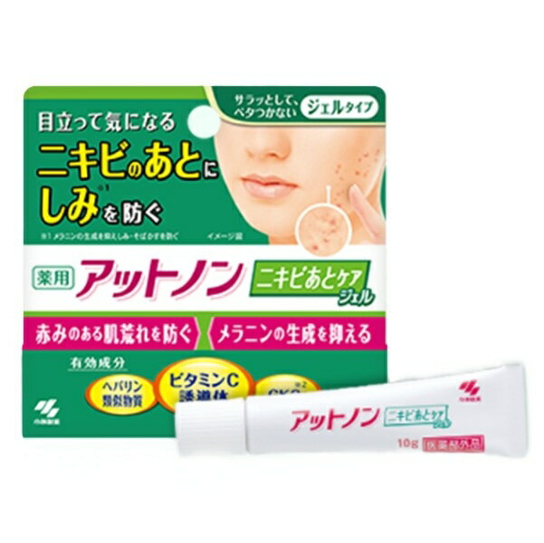 アットノン 10g 小林製薬【医薬部外品】