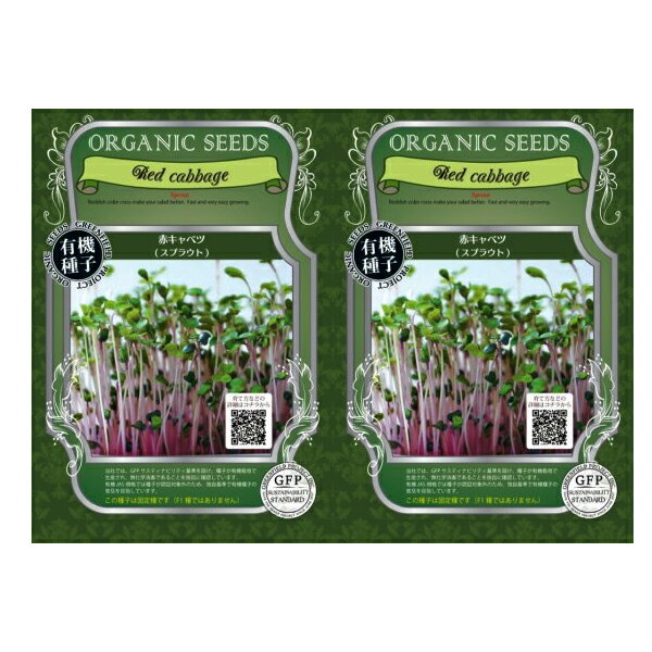 スプラウト 赤キャベツ 11g 2個セット 有機種子 正規流通販売品