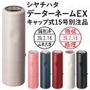 シャチハタ データーネームEX15号（キャップ式 15.5mm丸 別注品）調剤済 調剤印 朱肉不要 データネーム ネーム印 携帯 印鑑 はんこ 別製品 ギフト プレゼント g