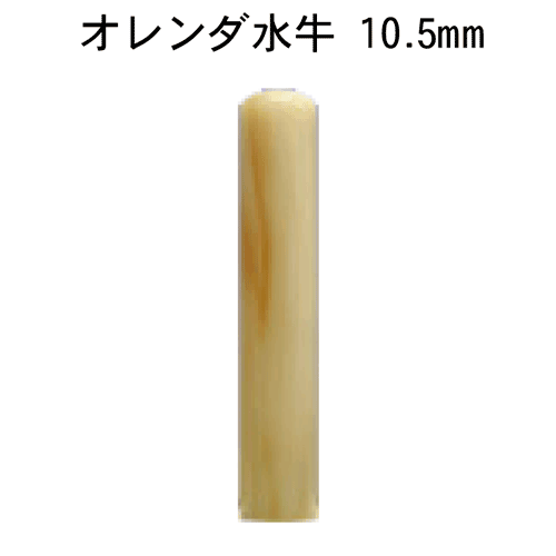 個人印鑑 オランダ水牛 [10.5mm丸]送料無料(単品)はんこ 実印 銀行印 認印 ギフト プレゼント[p]