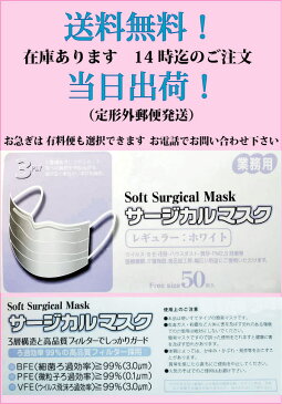 マスク 50枚入 在庫あり 4/14出荷分受付中14時迄の注文 当日出荷 （クレジット決済のみ）即納 送料無料（定形外郵便） 即日出荷 本日出荷 今日出荷