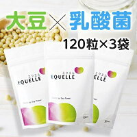 【楽天市場】エクエル パウチ 120粒 3個セット 送料無料 ポスト投函専用/【正規取扱店】★翌日出荷致します★：online Sshop