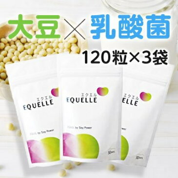 エクエル パウチ 120粒 3個セット 送料無料 ポスト投函専用/【正規取扱店】★(早得)営業日12時までの注文当日、以降翌日出荷致します★
