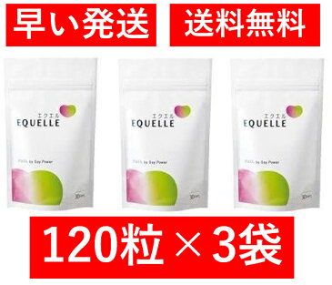 エクエル パウチ 120粒 3個セット 送料無料 ポスト投函専用/【正規取扱店】★(早得)営業日12時までの注文当日、以降翌日出荷致します★
