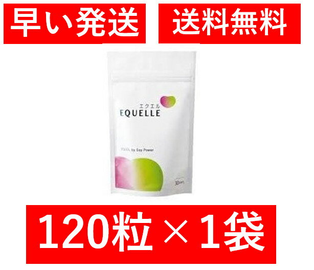 大塚製薬 エクエル120粒パウチタイプ【正規取扱店】（※追跡可能ポスト投函専用）