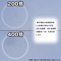 プレグナクト