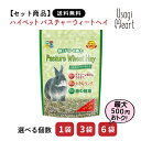 【5月15日まで!エントリー&2個購入でポイント5倍】【セット商品は送料無料&選べる個数】プロセレクト パスチャーウィートヘイ ハイペット 400g 牧草 イネ...