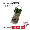 【セット商品は送料無料&選べる個数】うさぎボール わらっこ倶楽部 カワイ おもちゃ うさぎ ミニウサギ ネザーランドドワーフ ホーランドロップ ロップイヤー う...