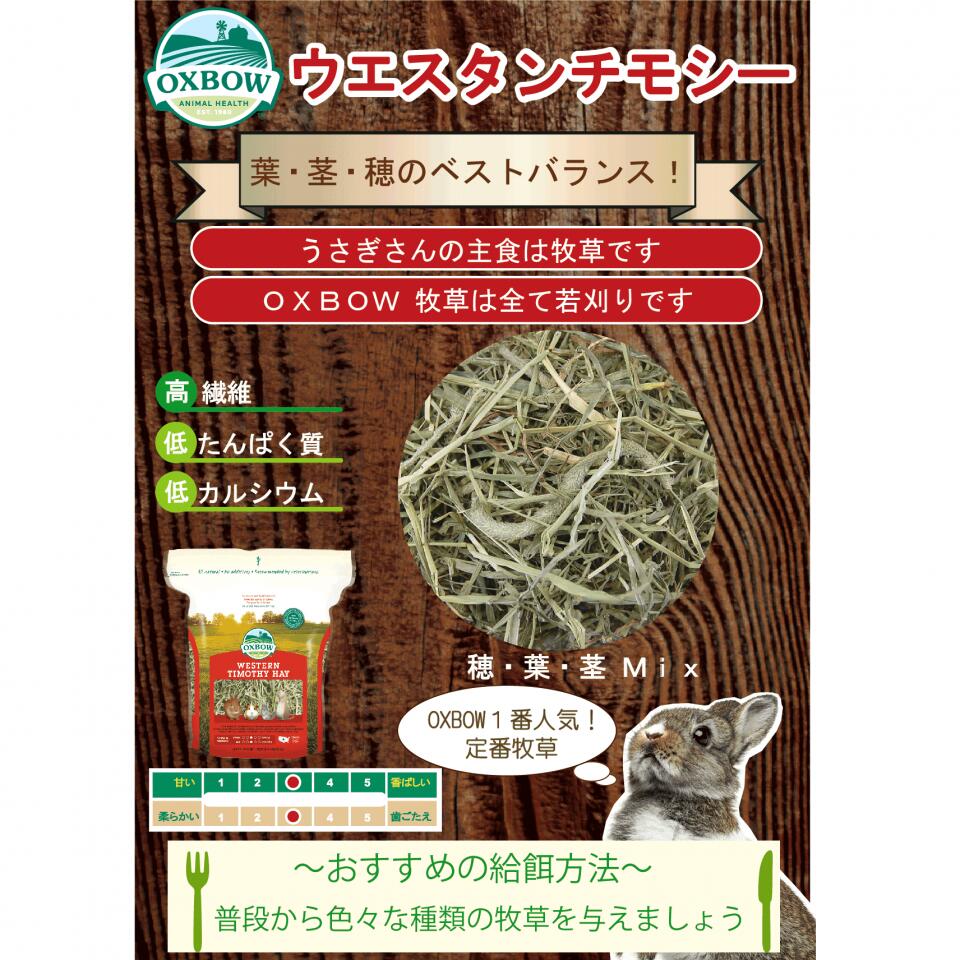 メーカー 発売日 2個でp5倍3個でp10倍 ウエスタンチモシー 425g Oxbow 憧れ オックスボウ オクスボウ チモシー 牧草 うさぎ ミニウサギ ウサギ ネザーランドドワーフ うさぎ用品 ホーランドロップ うさぎ全般 ロップイヤー イネ科の牧草