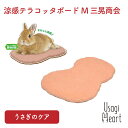 【5月15日まで♪エントリー&2個購入でポイント5倍!3個購入でポイント10倍】涼感テラコッタボード M 三晃商会 おもちゃ うさぎ ミニウサギ ネザーランドド...