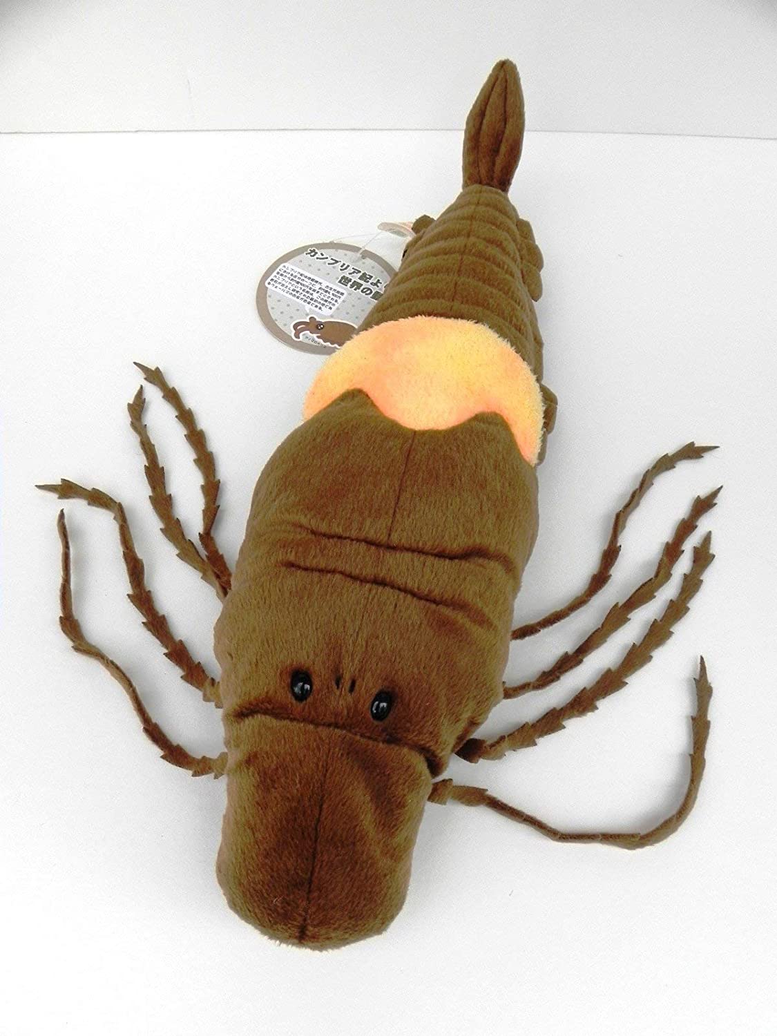 古代生物シリーズ メガラクネ ぬいぐるみ ティーエスティーアドバンス TST ADVANCE 古代生物 シリーズ ぬいぐるみ 人形