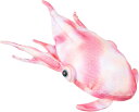 しんかいさん コーモリダコ ぬいぐるみ 6425 ティーエスティーアドバンス TST ADVANCE ぬいぐるみ 人形 深海生物 キャラクター グッズ おしゃれ 大型 プレゼント ギフト インテリア ソフトトイ