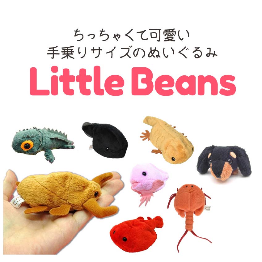 【11月26日まで♪エントリー&2個購入でポイント5倍!3個購入でポイント10倍】Little Beans ぬいぐるみ タ..