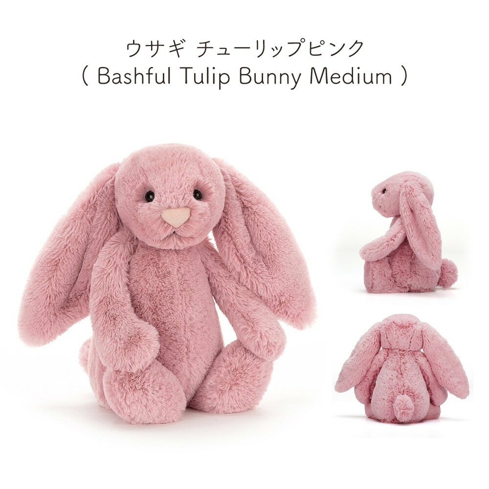 未開封新品　ジェリーキャット　アロエ　ぬいぐるみ JELLY CAT - 新作 新品 ジェリーキャット アロエ 植物 多肉植物