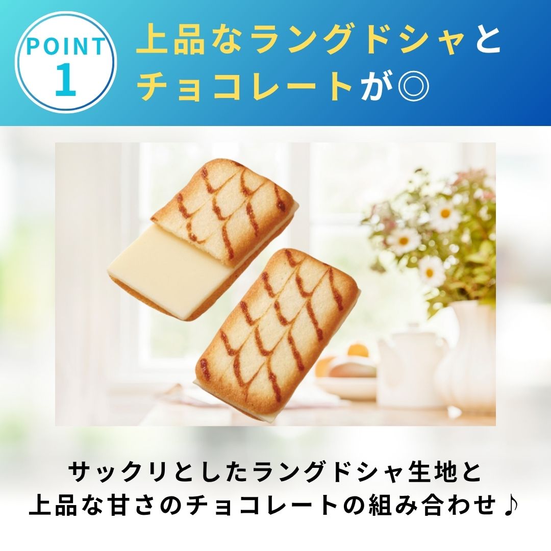 【年末年始も即日配送】ブランチュール 30枚 1000円ポッキリ 送料無料 お菓子 詰め合わせ 個包装 子供向け プチギフト チョコ クッキー スイーツ 人気 駄菓子 セット まとめ買い 大容量 ポイント消化 買い回り ギフト プレゼント 景品 お試し
