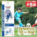 【マラソンP5倍!】ソルボ サッカージュニア 衝撃吸収 インソール キッズ用 16cm~24.5cm サイズ選択可 成長期の足を守る 中敷き SORBO