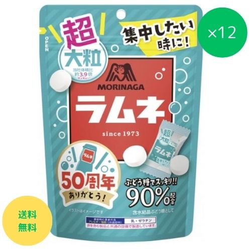 超大粒ラムネ 森永製菓 60g×12個 個数 何個入り 大粒ラムネ 何粒 値段 60g カロリー 大きさ 期間限定 ブドウ糖