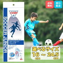 【ポイント5倍】ソルボ サッカー ジュニア インソール 中敷き 子供 用 衝撃吸収 DSIS 選べるセット 16〜24.5