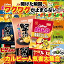 【抽選で最大100%ポイントバック! ※要エントリー】カルビー 詰め合わせ スナック菓子 17種 人気 お菓子 大容量 ポテトチップス 堅あげポテト じゃがりこ...