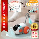 電動ねずみウィキッドマウス