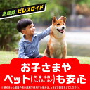 onlinesp-rs:10000375のサンプル画像2