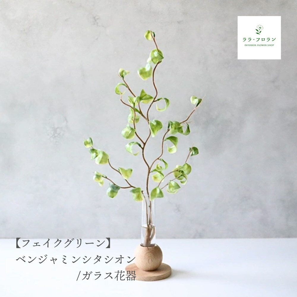 ベンジャミンシタシオン フェイクグリーン インテリアグリーン 卓上 観葉植物 ガラスベース 玄関 リビ..