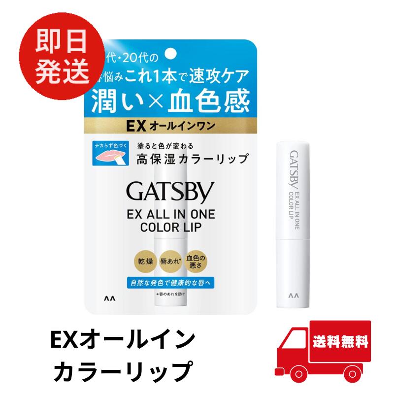 リップ メンズ（1000円程度） GATSBY(ギャツビー) EXオールインカラーリップ メンズ 色つき リップクリーム 保湿